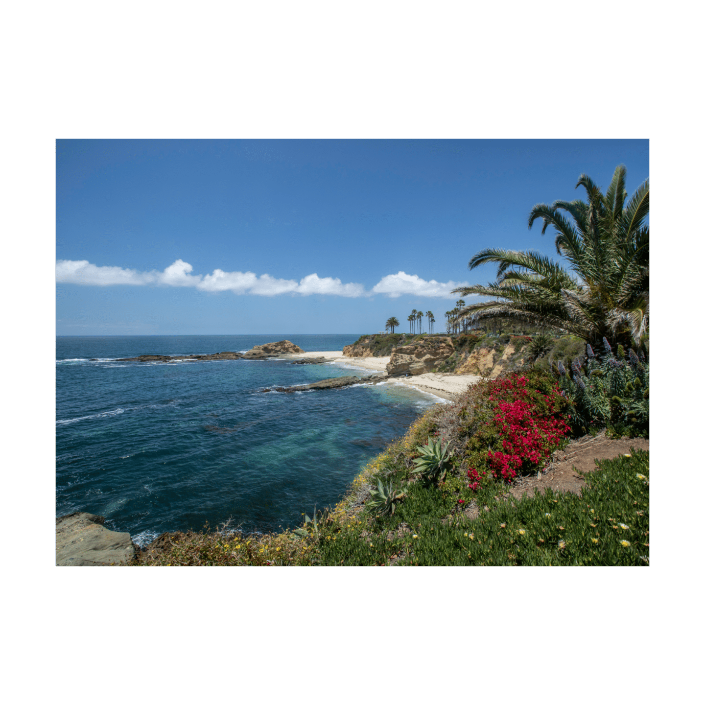 Ocean - Laguna Notecard Set - Immaginare Press